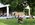 People gather at picnic tables under a large tree canopy to enjoy dinner in early summer with a modern building in the background.