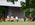 A person stands in front of a group of people sitting at picnic tables