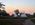 A group of tipis in a wooded setting during sunset.