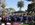 A large group of people posing for a photo under palm trees.