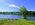 A blue lake surrounded by green trees and grass.