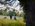 People working in a meadow with hand tools with trees in the background and an early autumn sky